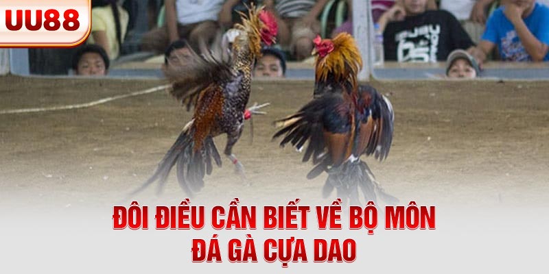Đôi điều cần biết về bộ môn đá gà cựa dao Đôi điều cần biết về bộ môn đá gà cựa dao
