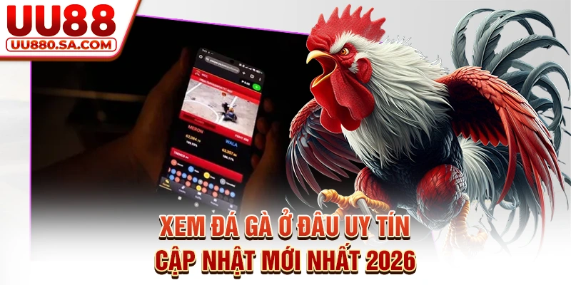 Xem Đá Gà Ở Đâu Uy Tín - Cập Nhật Mới Nhất 2026